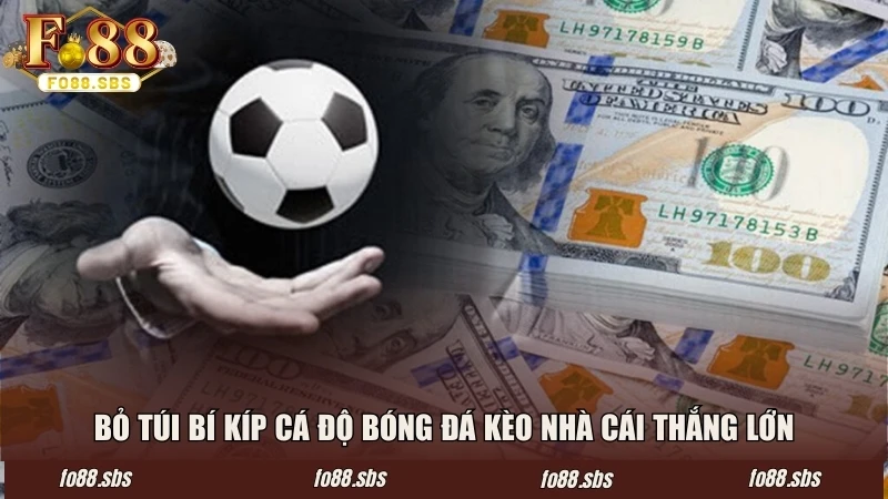 Bỏ túi bí kíp cá độ bóng đá kèo nhà cái thắng lớn