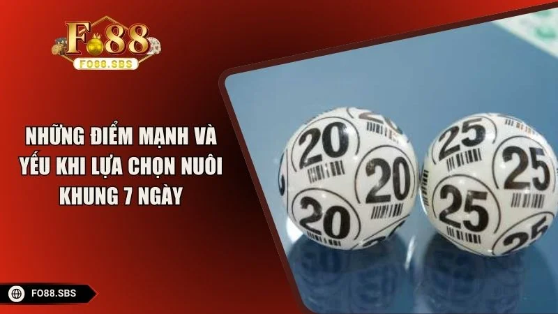 Những điểm mạnh và yếu khi lựa chọn nuôi khung 7 ngày