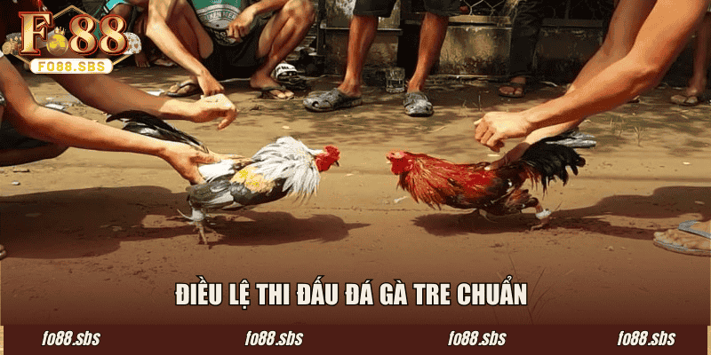 Điều lệ thi đấu đá gà tre chuẩn