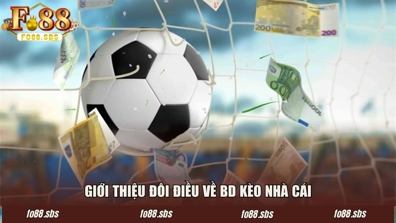 Giới thiệu đôi điều về bd kèo nhà cái