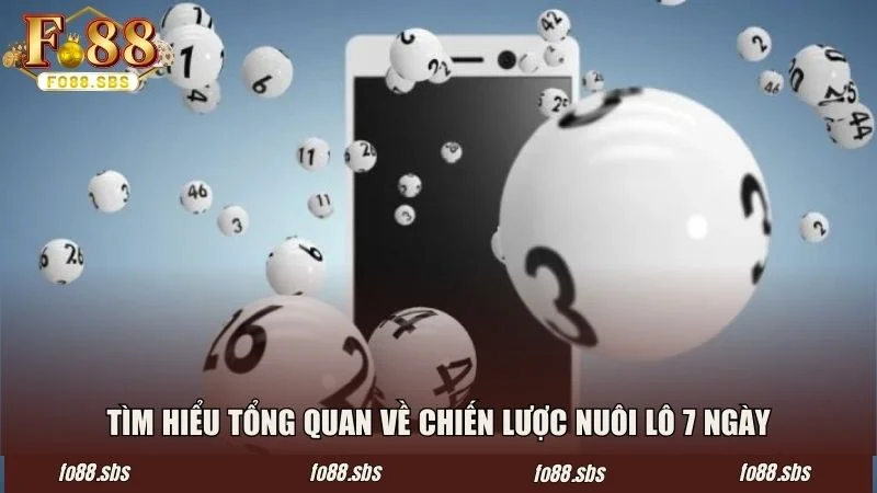 Tìm hiểu tổng quan về chiến lược nuôi lô 7 ngày