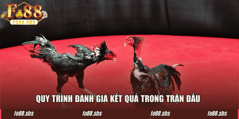 Quy trình đánh giá kết quả trong trận đấu