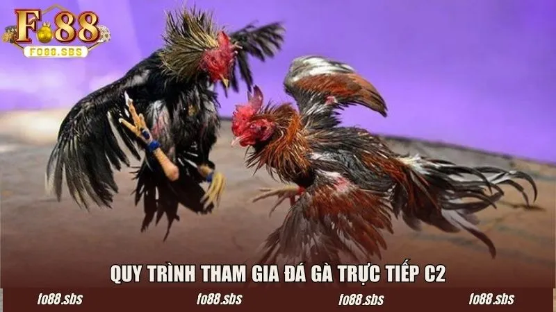 Quy trình diễn ra một trận đấu C2