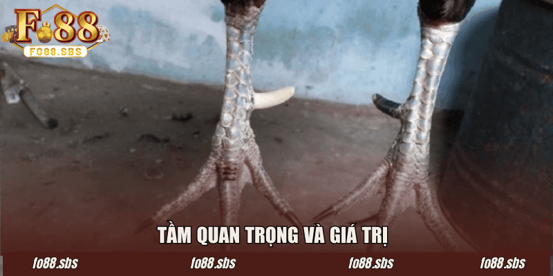 Tầm quan trọng và giá trị