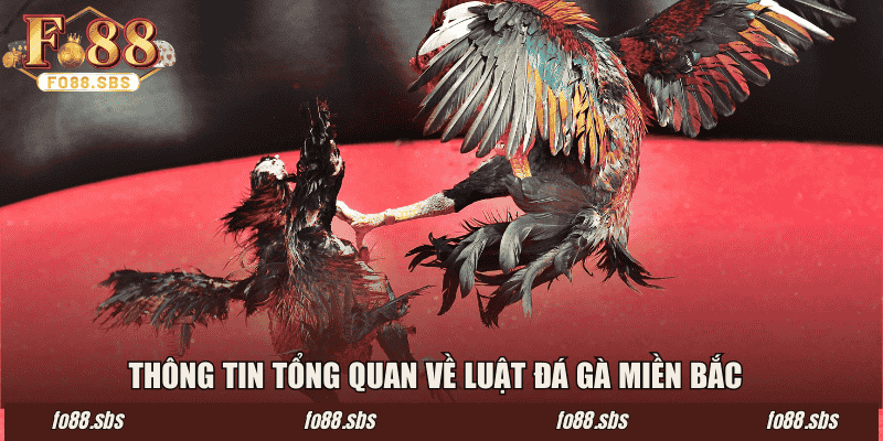 Thông tin tổng quan về luật đá gà miền Bắc