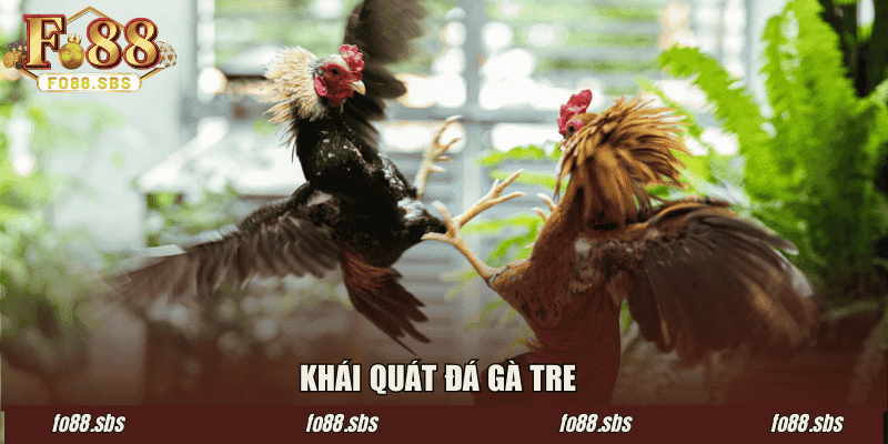 Khái quát đá gà tre