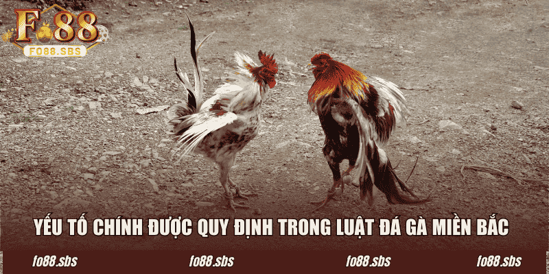 Yếu tố chính được quy định trong luật đá gà miền Bắc